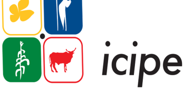 International Centre of Insect Physiology and Ecology (ICIPE) Scholarships in Kenya 2021