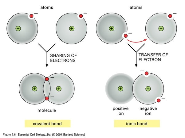 cerakote vs ion bonding