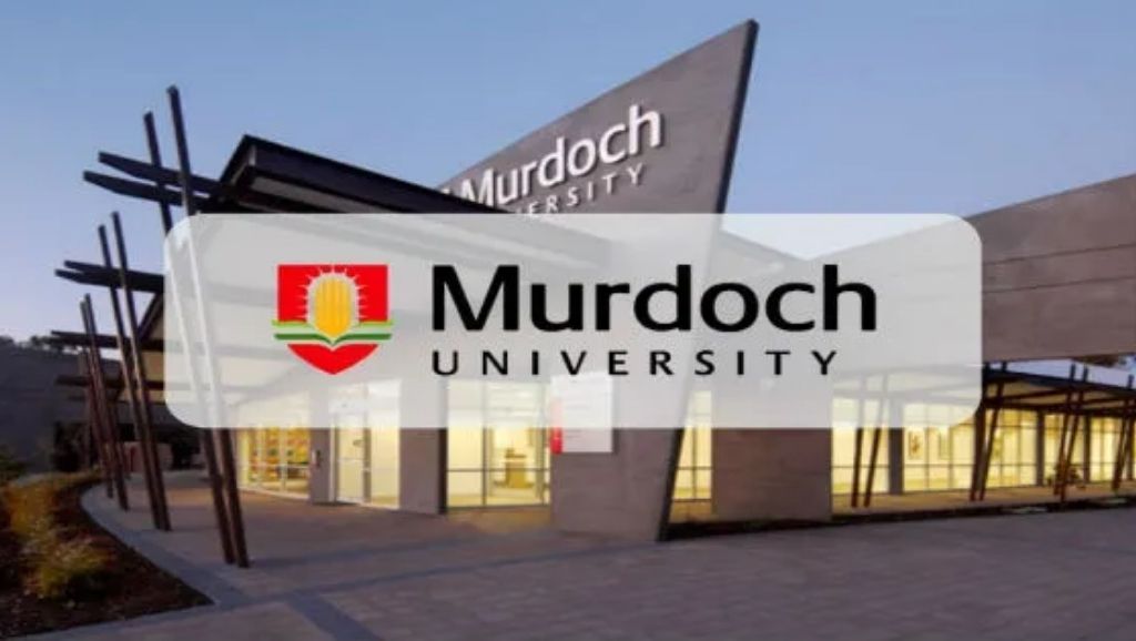 Full Scholarship Grants at Murdoch University Australia 20212022