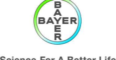 Bayer Foundation Full International Scholarship Awards 20212022 1